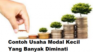Contoh Usaha Modal Kecil Yang Banyak Diminati